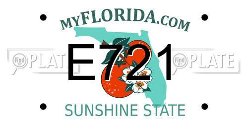 E721 Florida License Plate