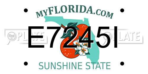 E7245I Florida License Plate