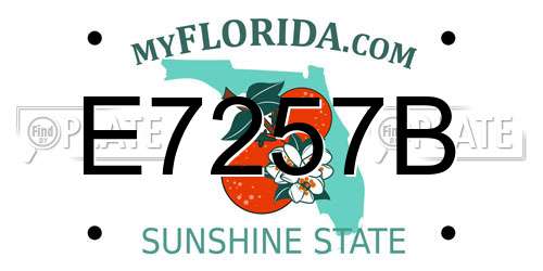 E7257B Florida License Plate