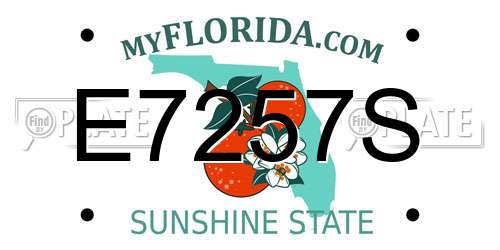 E7257S Florida License Plate