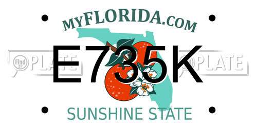 E735K Florida License Plate