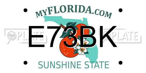E73BK Florida License Plate