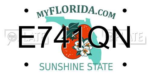 E741QN Florida License Plate