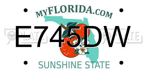 E745DW Florida License Plate