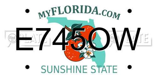 E745OW Florida License Plate