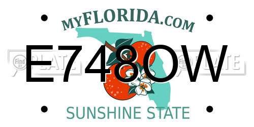 E748OW Florida License Plate