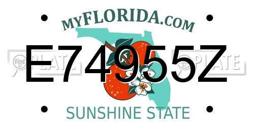 E74955Z Florida License Plate