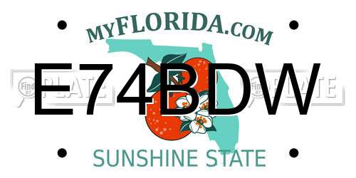 E74BDW Florida License Plate