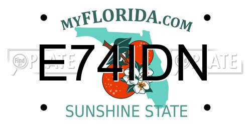 E74IDN Florida License Plate