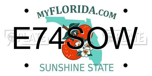 E74SOW Florida License Plate