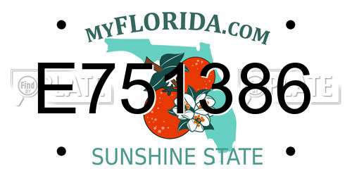 E751386 Florida License Plate