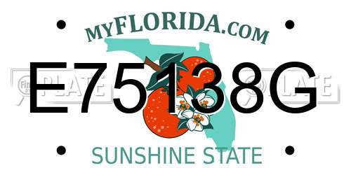 E75138G Florida License Plate