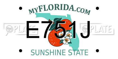 E751J Florida License Plate