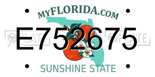 E752675 Florida License Plate