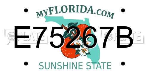 E75267B Florida License Plate