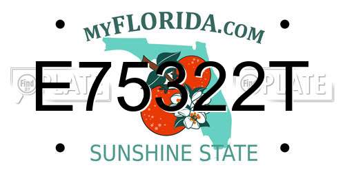 E75322T Florida License Plate