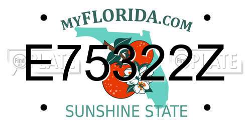 E75322Z Florida License Plate