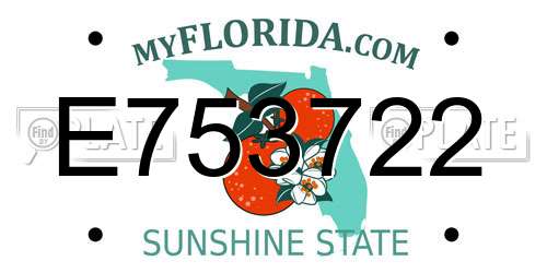 E753722 Florida License Plate