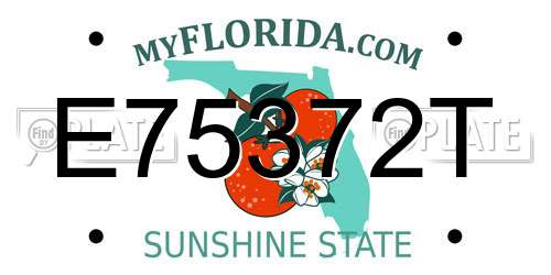 E75372T Florida License Plate