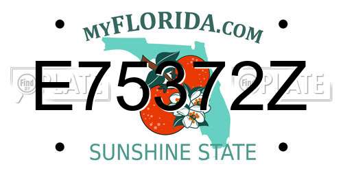 E75372Z Florida License Plate