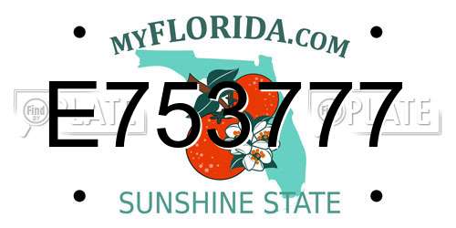 E753777 Florida License Plate