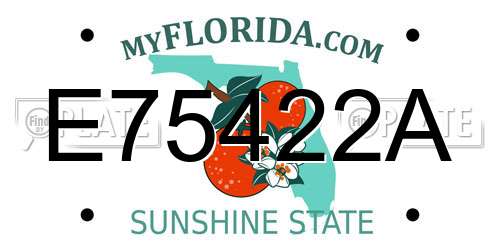E75422A Florida License Plate
