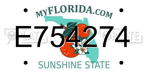 E754274 Florida License Plate