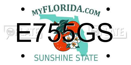 E755GS Florida License Plate