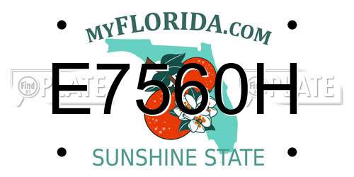 E7560H Florida License Plate