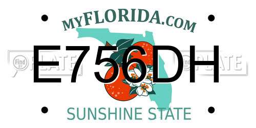E756DH Florida License Plate