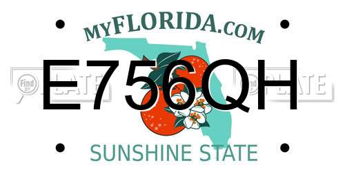 E756QH Florida License Plate