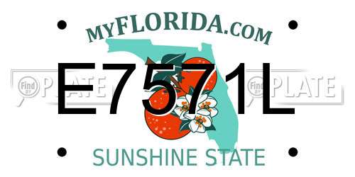 E7571L Florida License Plate