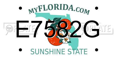 E7582G Florida License Plate