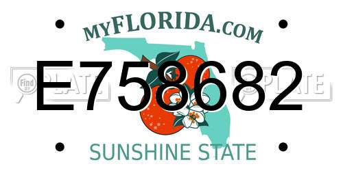 E758682 Florida License Plate