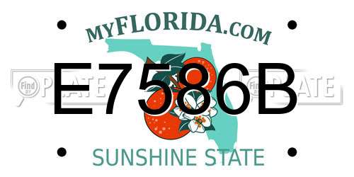 E7586B Florida License Plate