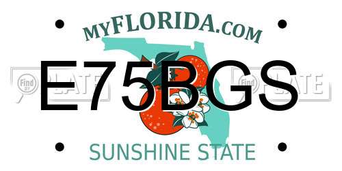 E75BGS Florida License Plate