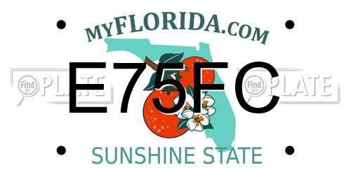 E75FC Florida License Plate