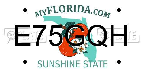 E75GQH Florida License Plate