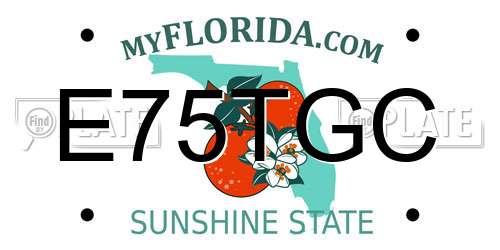 E75TGC Florida License Plate