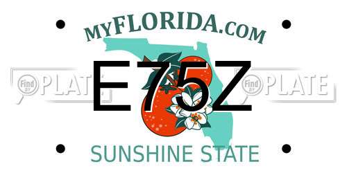 E75Z Florida License Plate