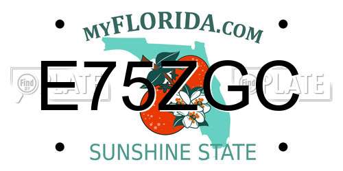 E75ZGC Florida License Plate