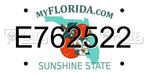 E762522 Florida License Plate