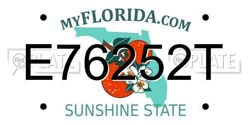 E76252T Florida License Plate