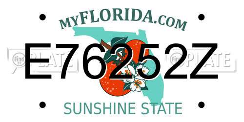 E76252Z Florida License Plate