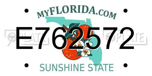 E762572 Florida License Plate