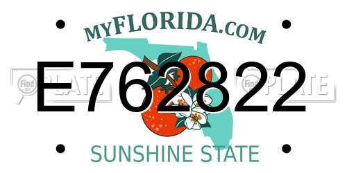 E762822 Florida License Plate