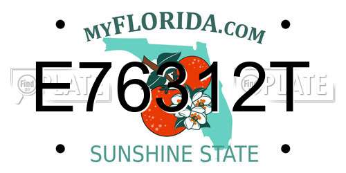 E76312T Florida License Plate