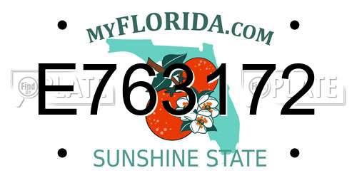 E763172 Florida License Plate