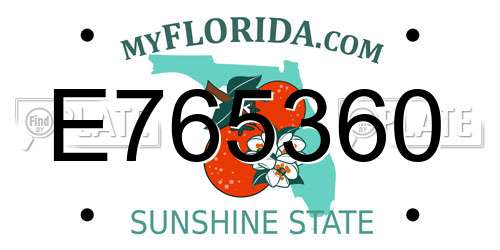 E765360 Florida License Plate