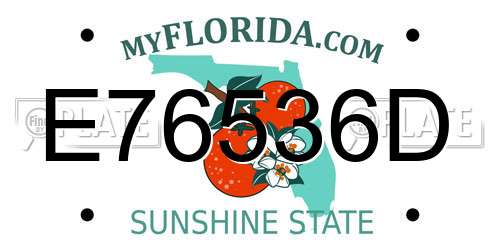 E76536D Florida License Plate